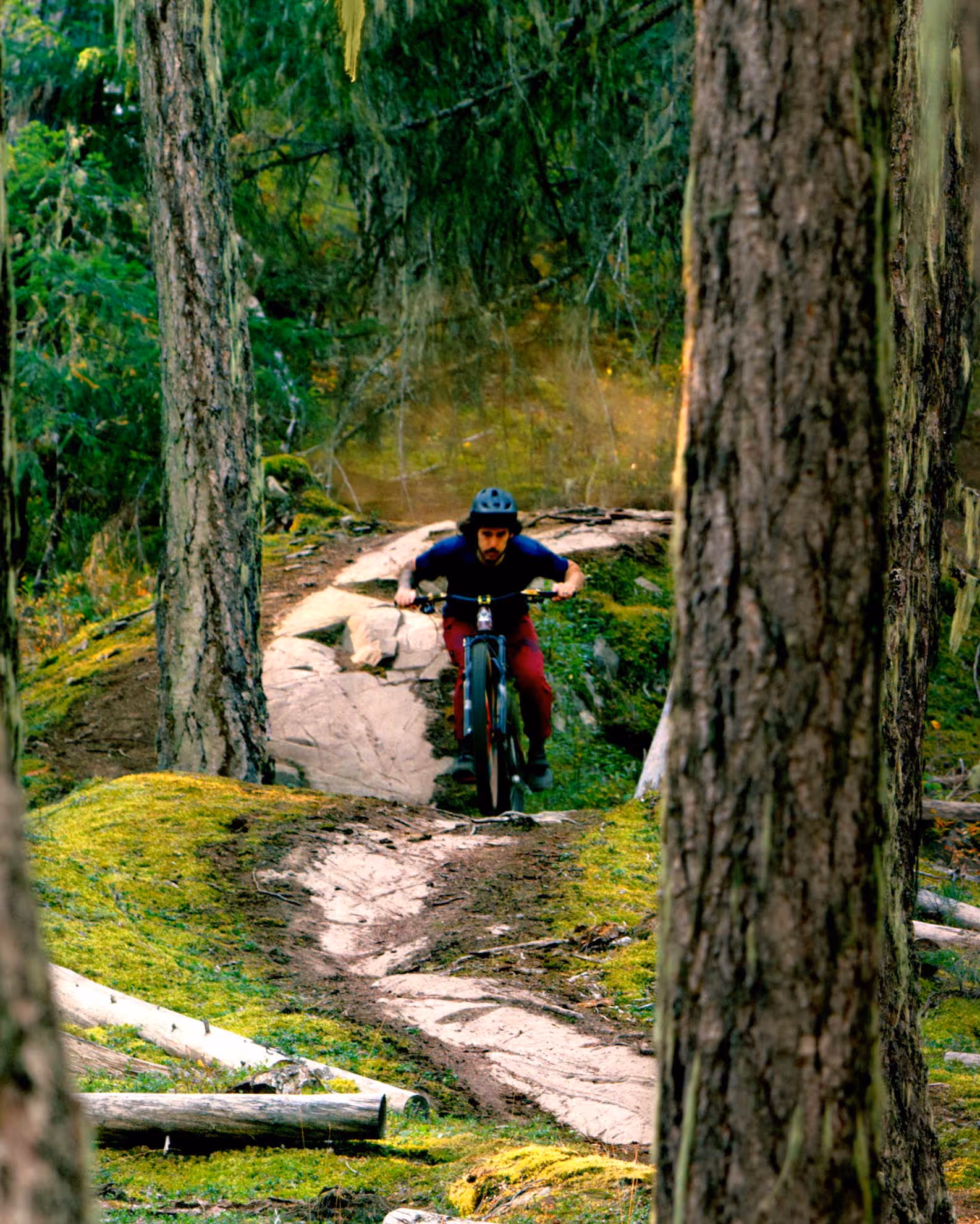 A trailer rider descending a forest path