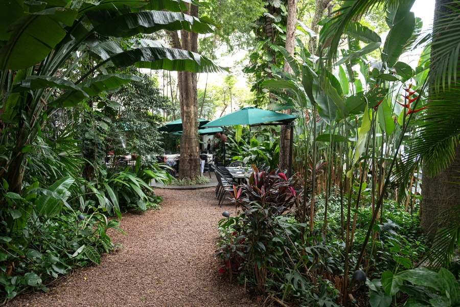 Café Artigas Ambiente Externo