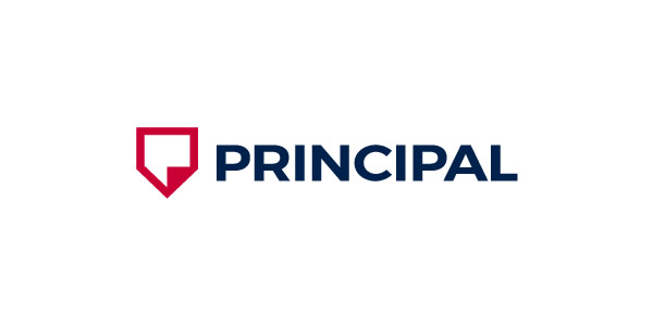 Principal engineering