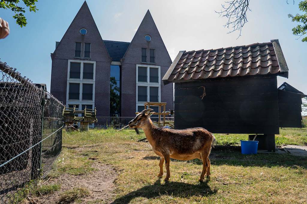 Woonzorglocatie De Kloosterhoeve sfeerimpressie tuin