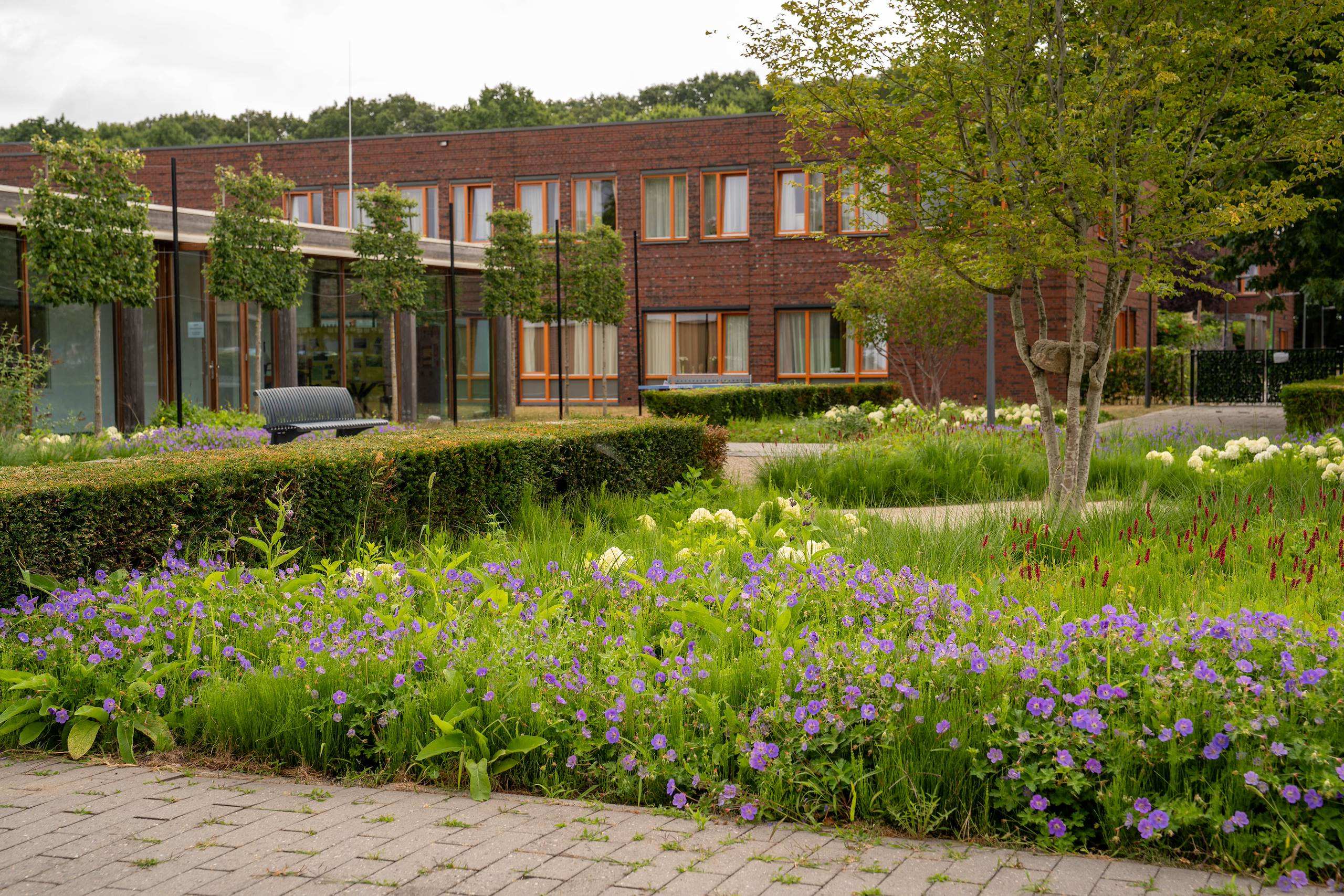Woonzorglocatie Eikendonk sfeerbeeld binnentuin