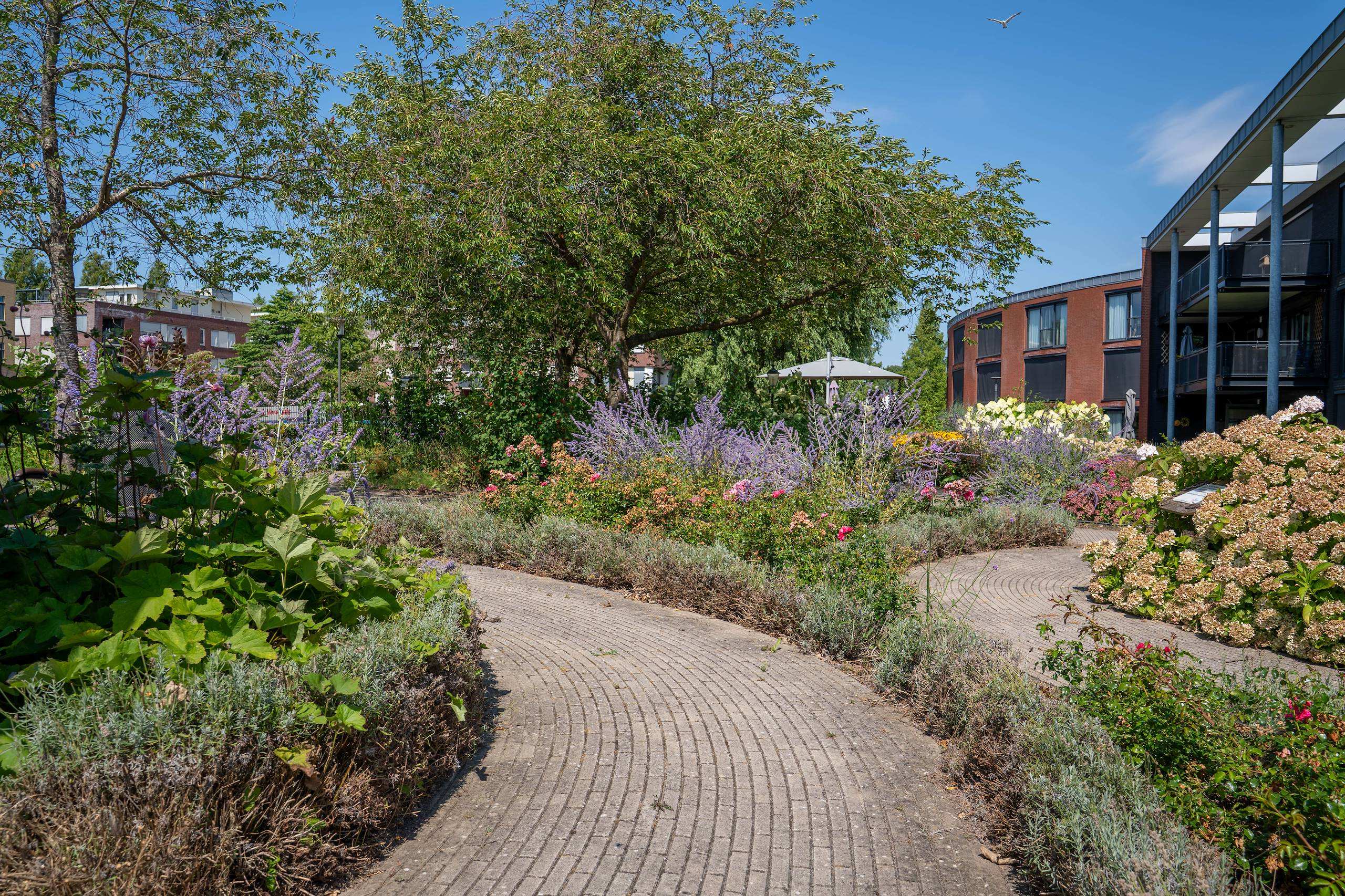 Woonzorglocatie Goezate sfeerbeeld binnentuin