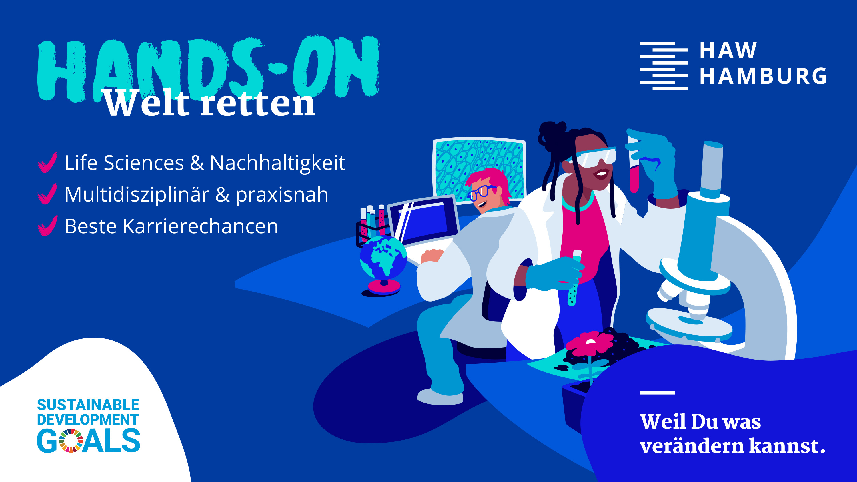 Example illustration of the HAW campaign