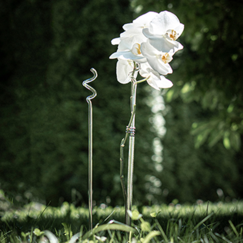 Hauptbild 00736.200
