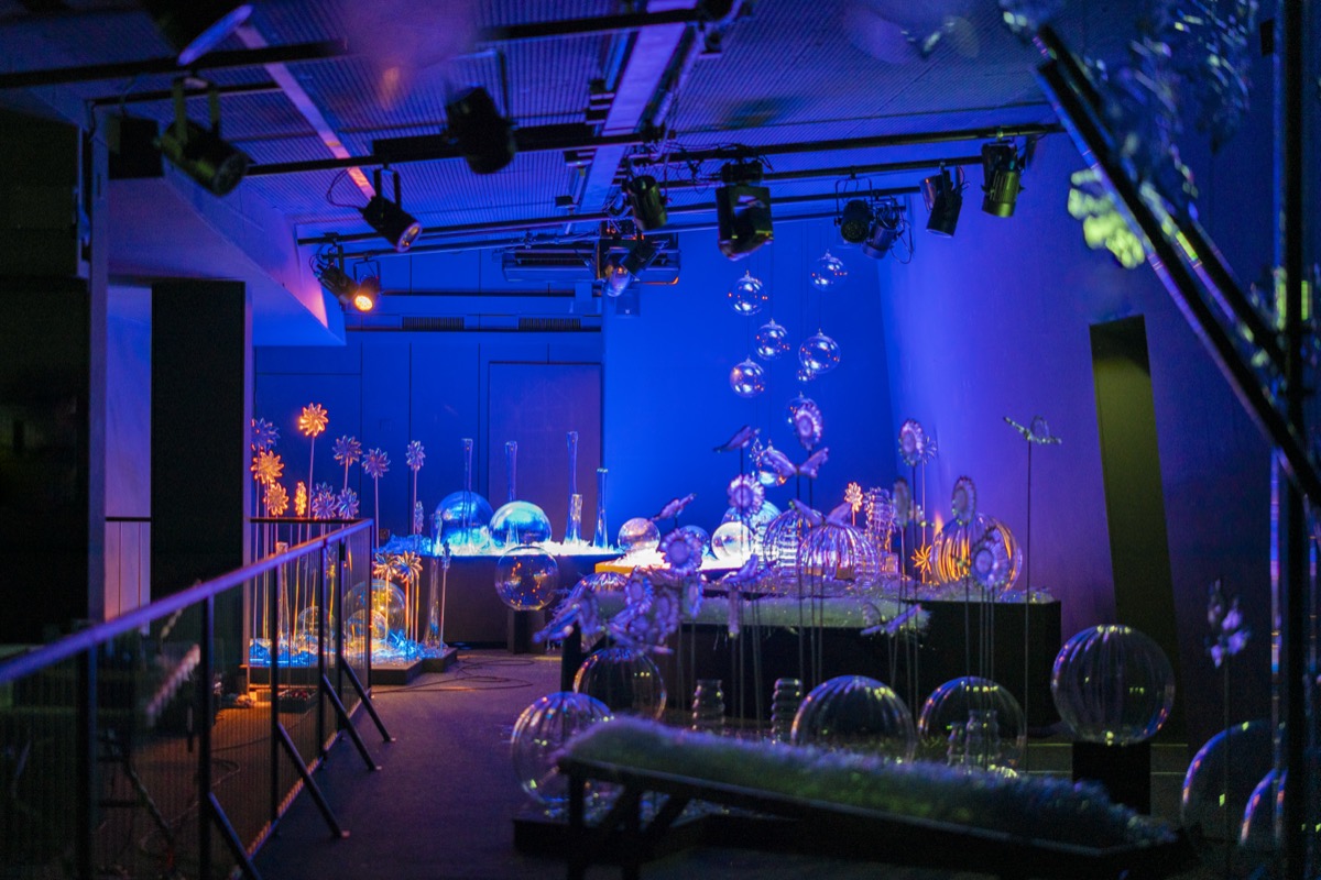 Eröffnung der neuen Ausstellung «Glas-Garten»