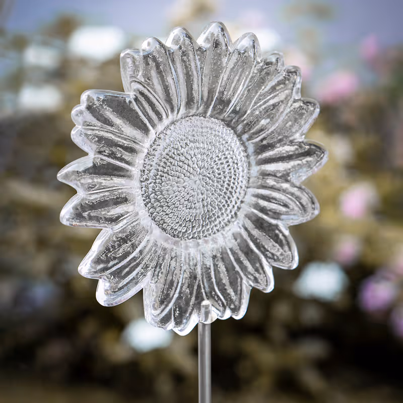 Hauptbild 00888.500