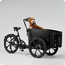 crgobike delight dog