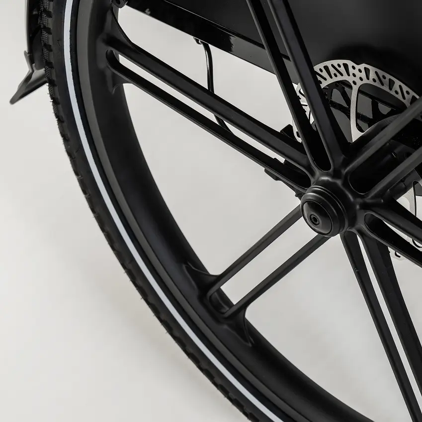 Cargobike wheel
