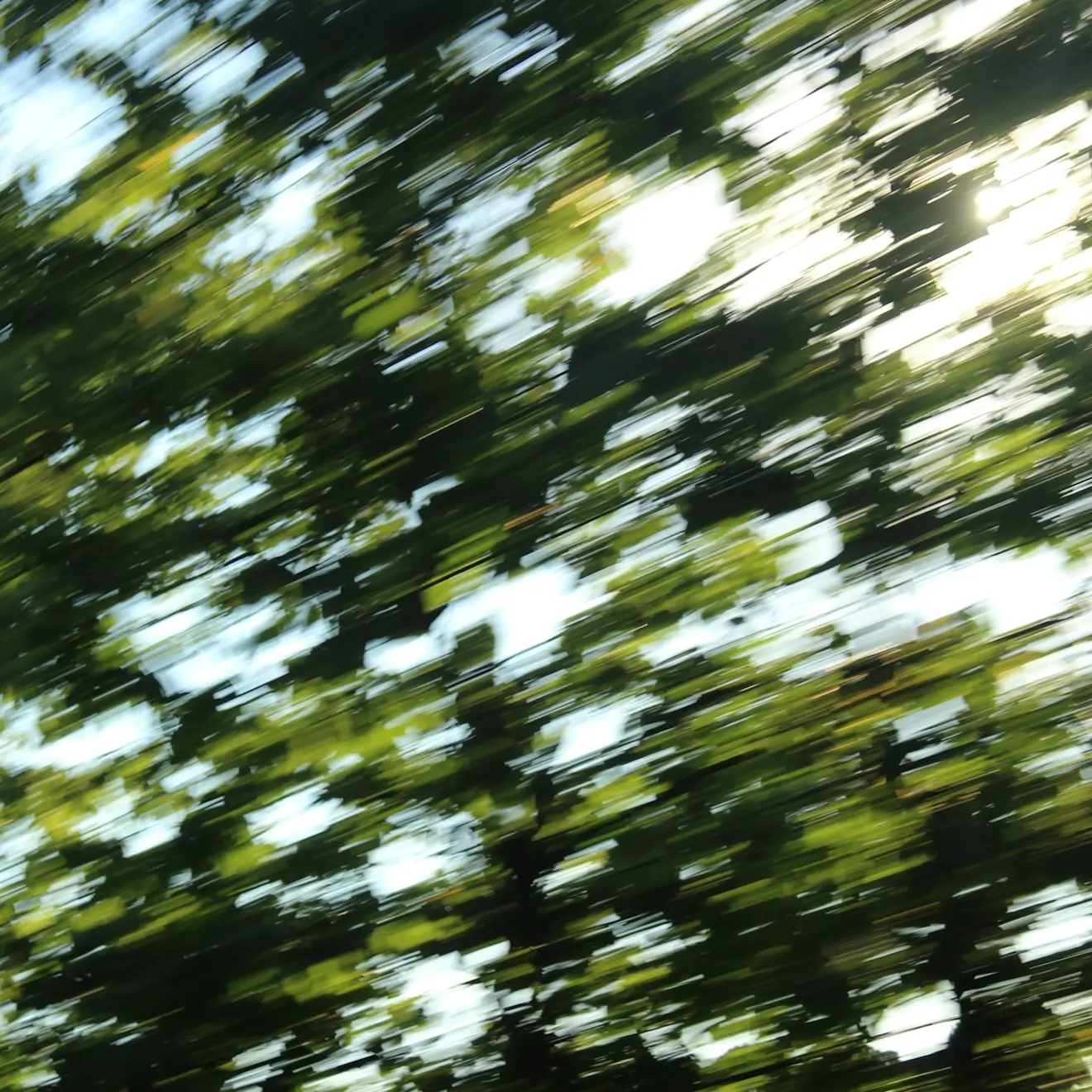 Three in motion
