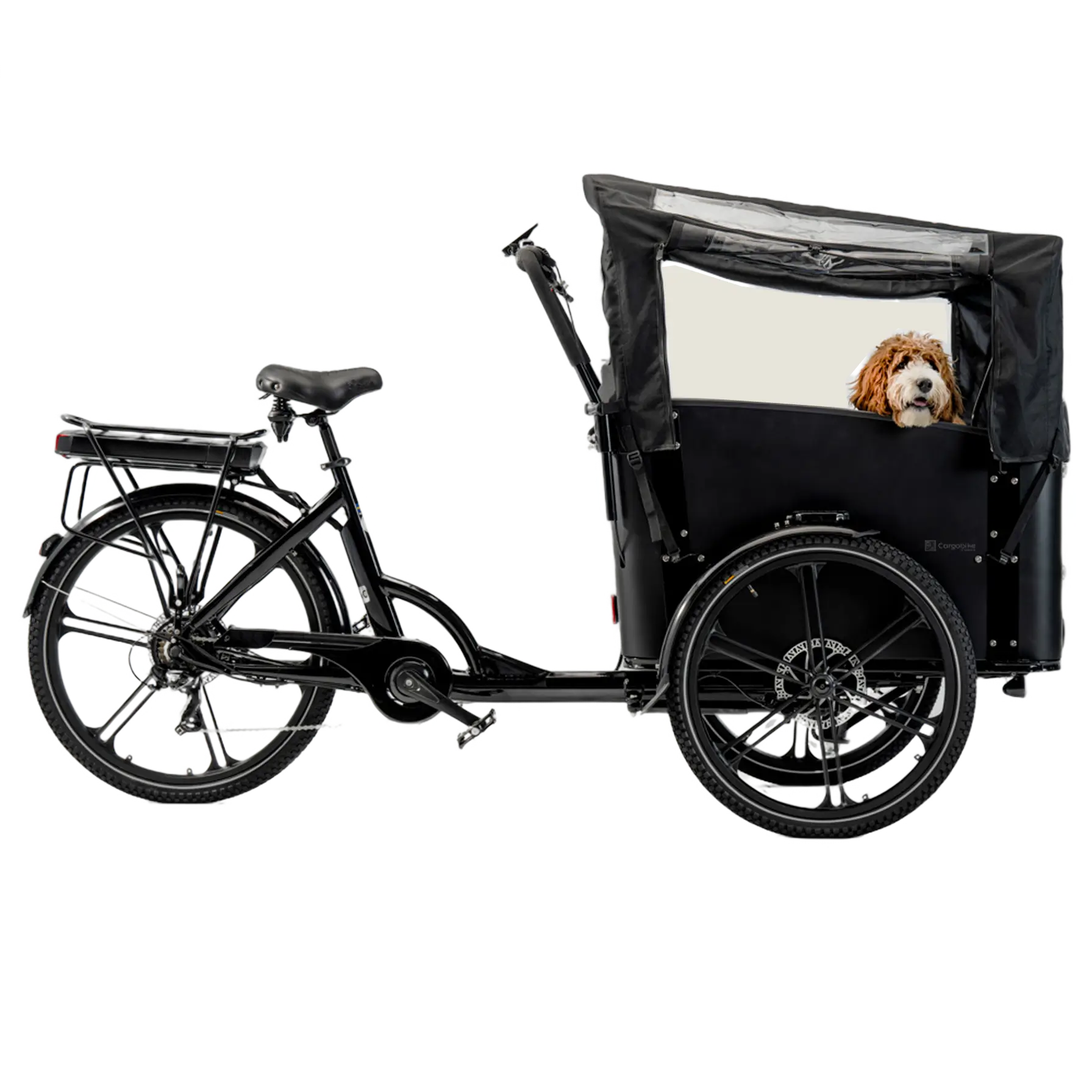 cargobike flex dog