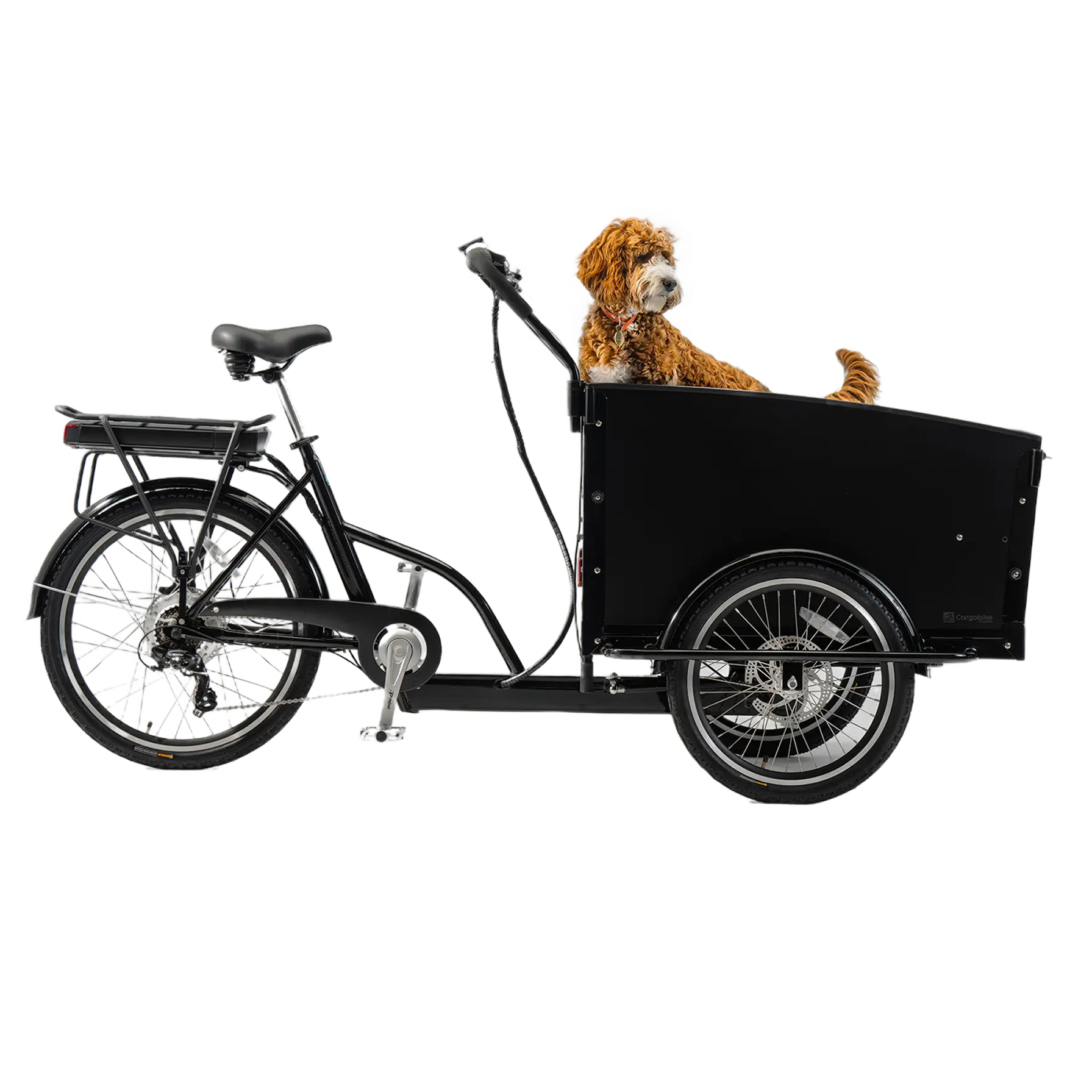 cargobike classic dog