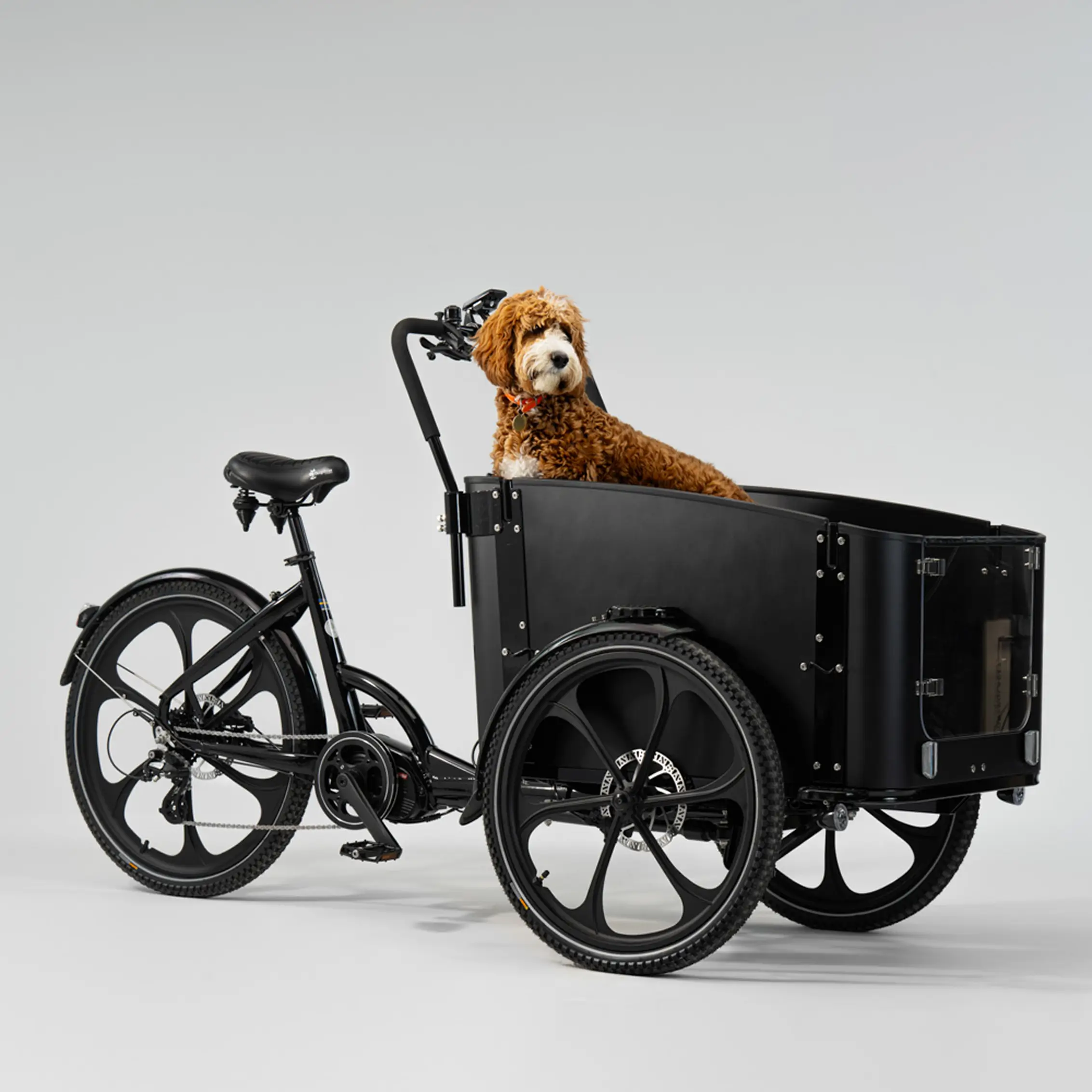 cargobike delight dog