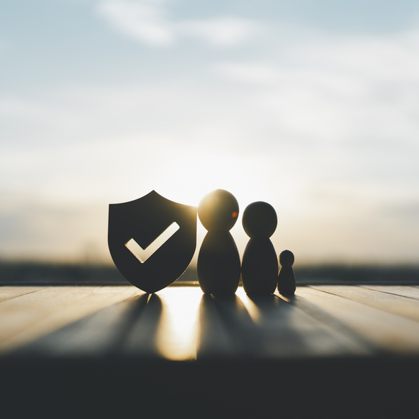 icon et modèle familial, Protection de sécurité. Trajectoire ensemble