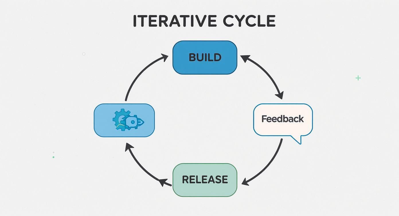 Infographic about iterative development models
