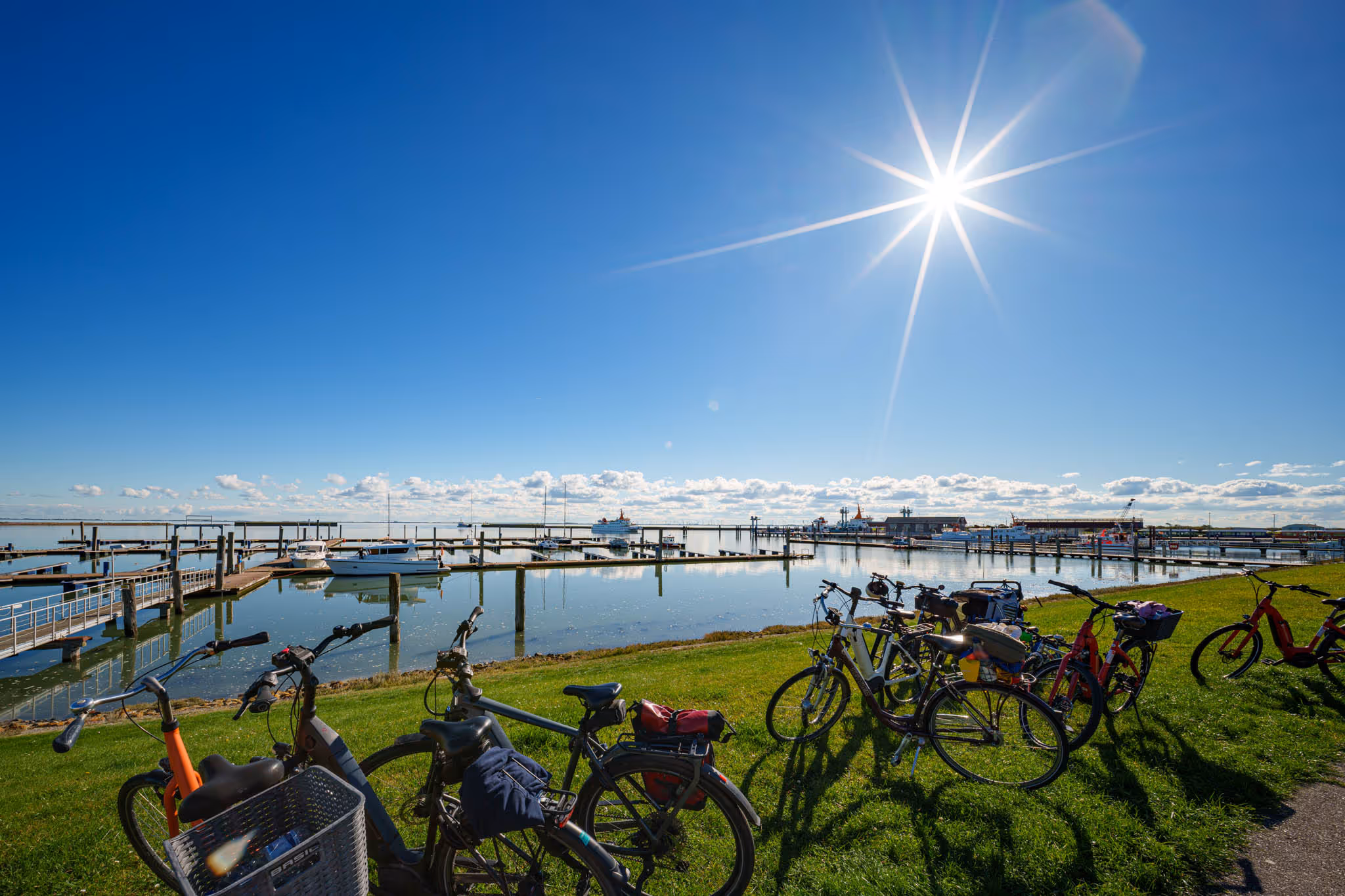 Fahrräder auf einer grünen Wiese vor einem ruhigen Hafen mit Booten unter strahlendem Sonnenschein und blauem Himmel.
