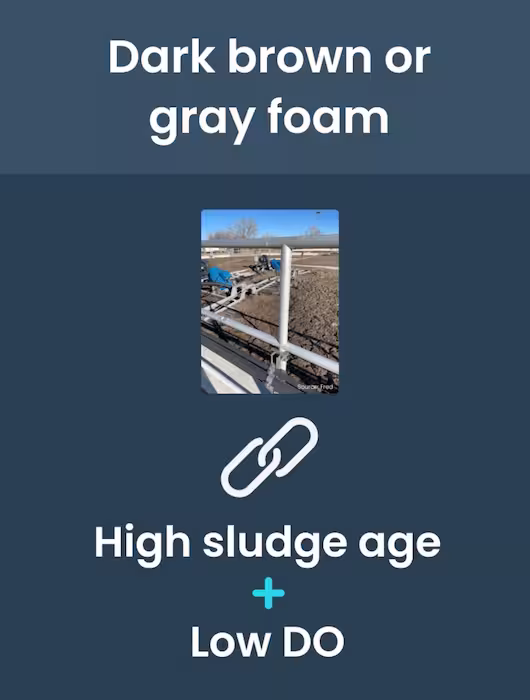 dark brown or gray foam