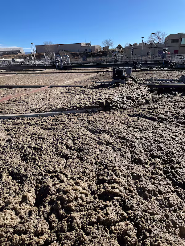 Foaming in Wastewater Aeration Tanks