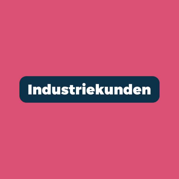 wagemut casestudy - MCM Systeme