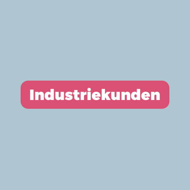 wagemut casestudy - MCM Systeme