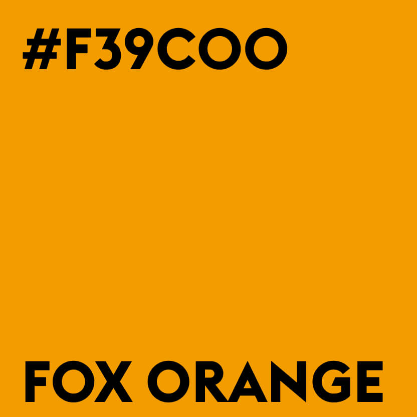 wagemut casestudy - FoxSummit