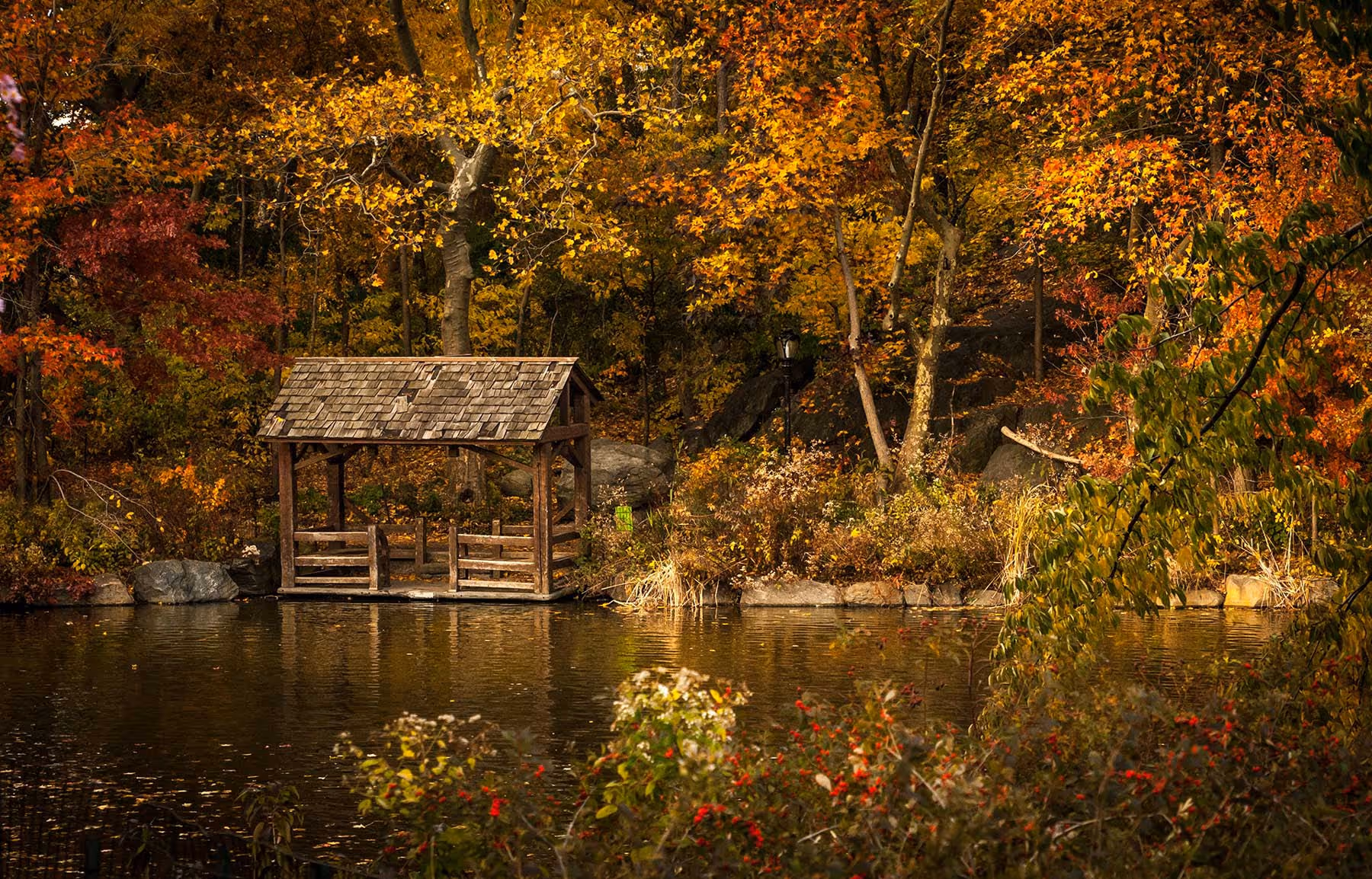 Holzunterstand am ruhigen Teich, umgeben von bunten Herbstbäumen und Pflanzen.