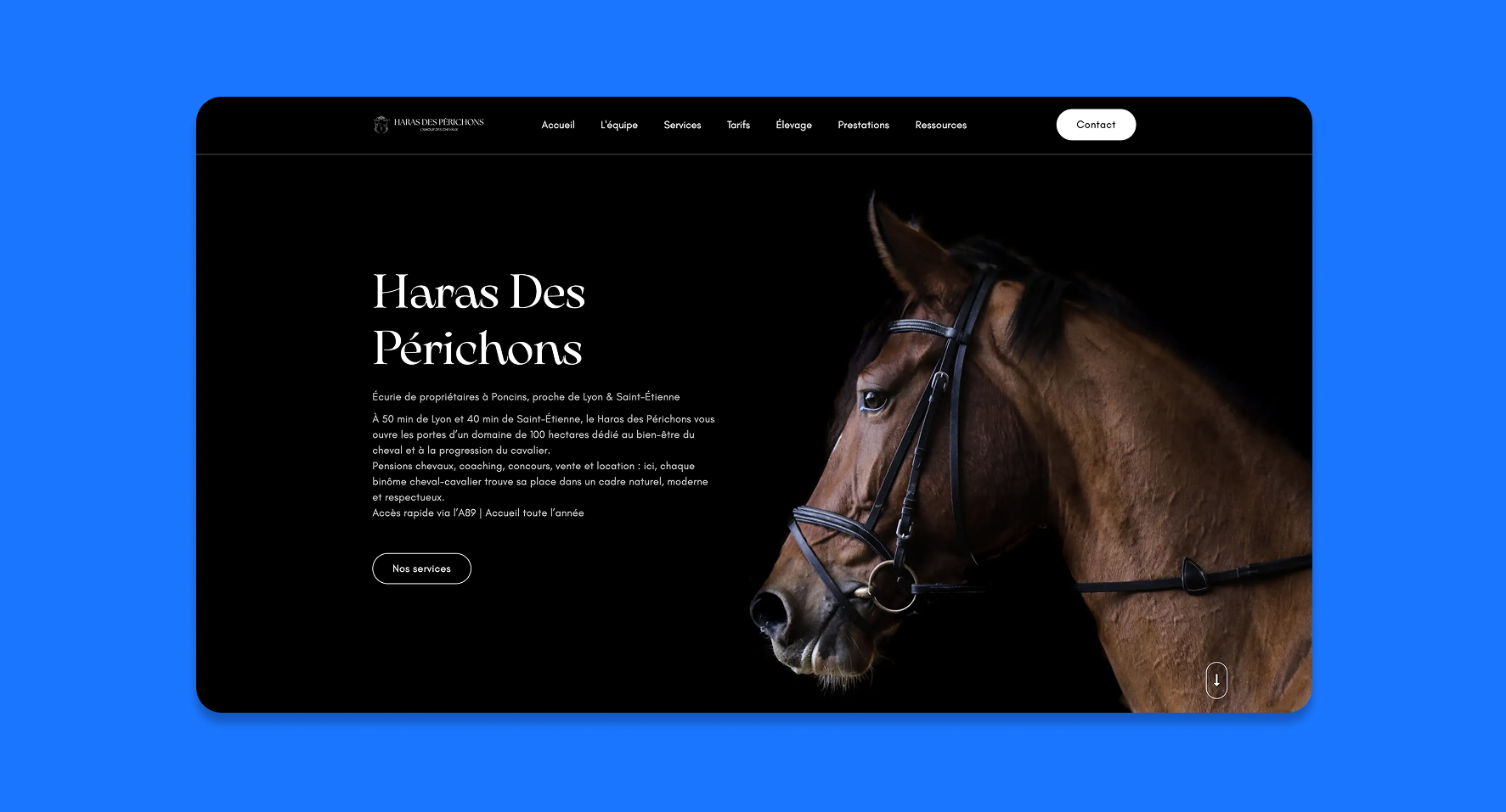 Création du site web Webflow Haras des Périchons, une écurie de propriétaires