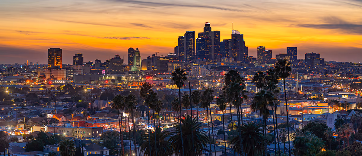 Tall palm trees stand in front of a city skyline at sunset with a mix of buildings and lights.