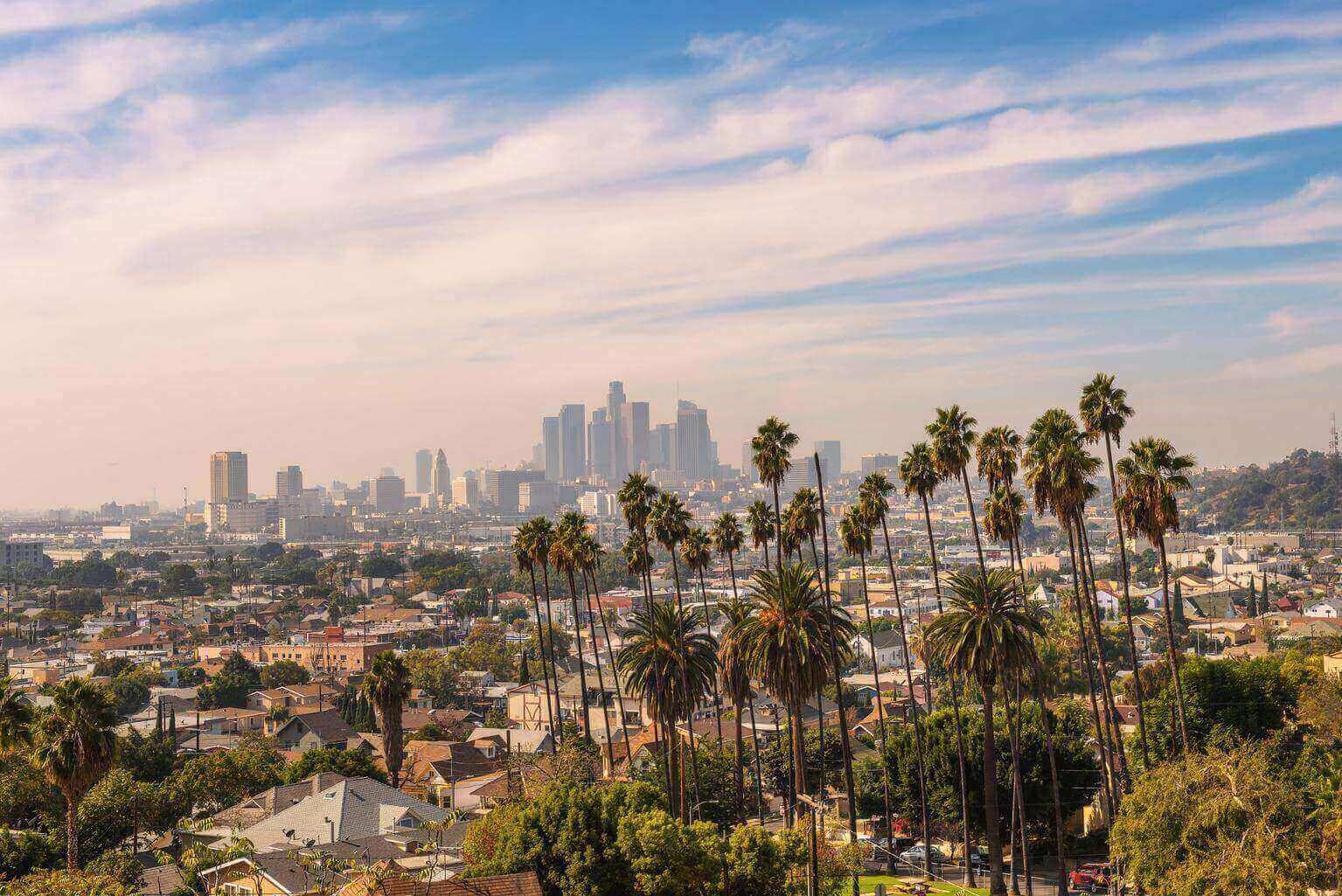 Tall palm trees stand in the foreground with a city skyline and scattered low-rise buildings under a partly cloudy sky.