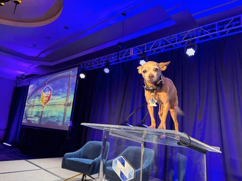 The Urgent Need for a Global View of Internet Governance and Other Highlights from NANOG89