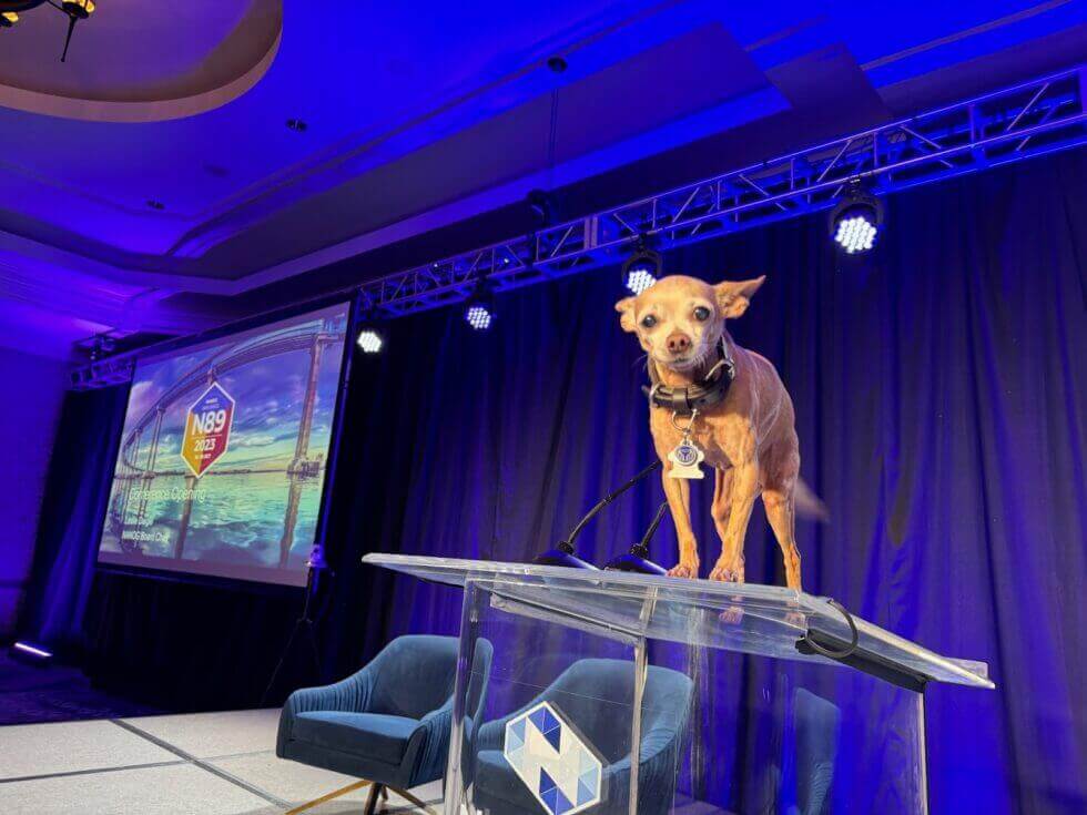 The Urgent Need for a Global View of Internet Governance and Other Highlights from NANOG89