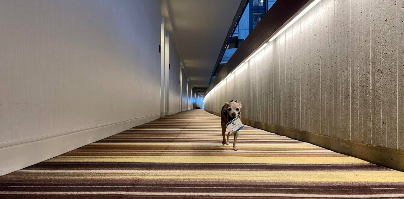 FIFA, Zombies, and Jeopardy: A NANOG 87 Round-Up