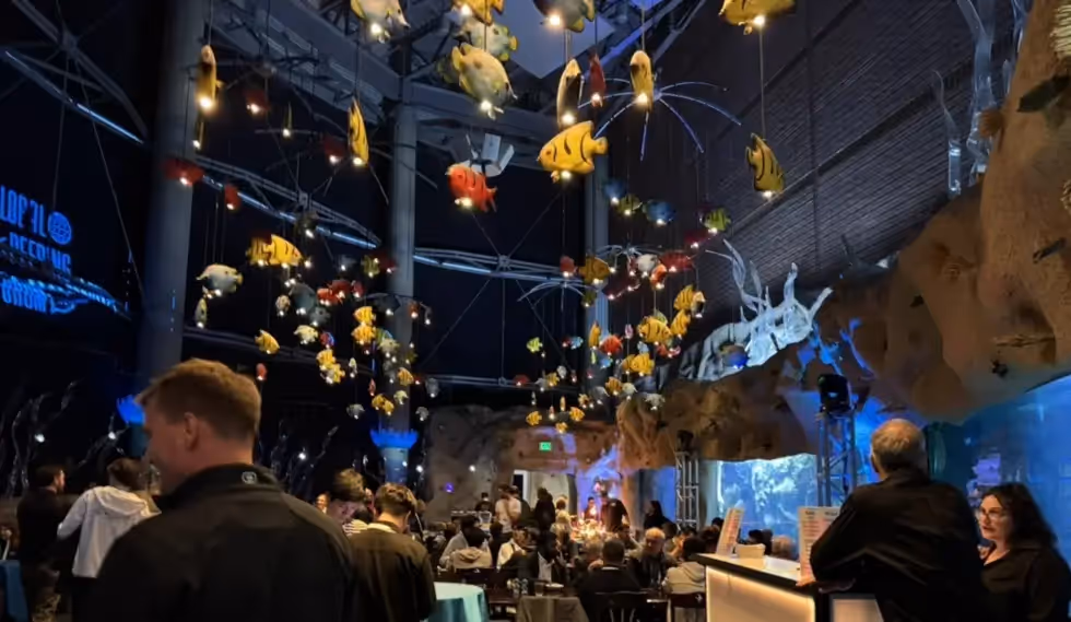 Reflections from GPF 2025: 20 Years of Connecting the Global Internet