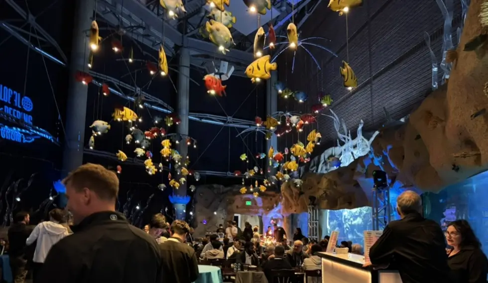 Reflections from GPF 2025: 20 Years of Connecting the Global Internet