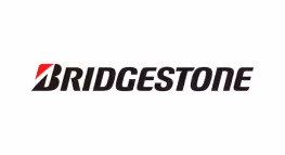 birdgestone logo