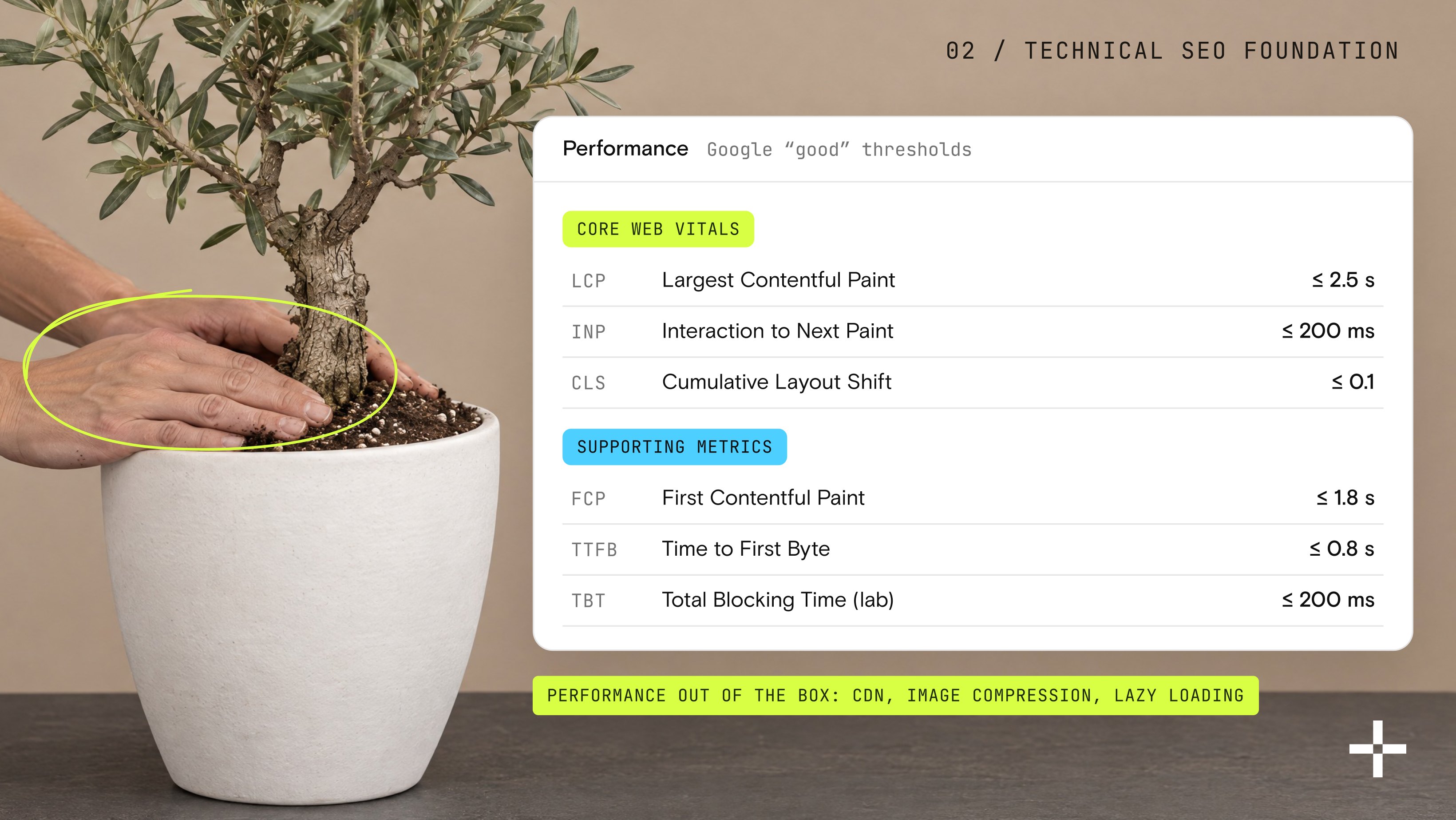 Hands pressing soil around an olive tree in a new pot, next to Core Web Vitals (LCP, INP, CLS) and supporting metrics (FCP, TTFB, TBT) at Google good thresholds.