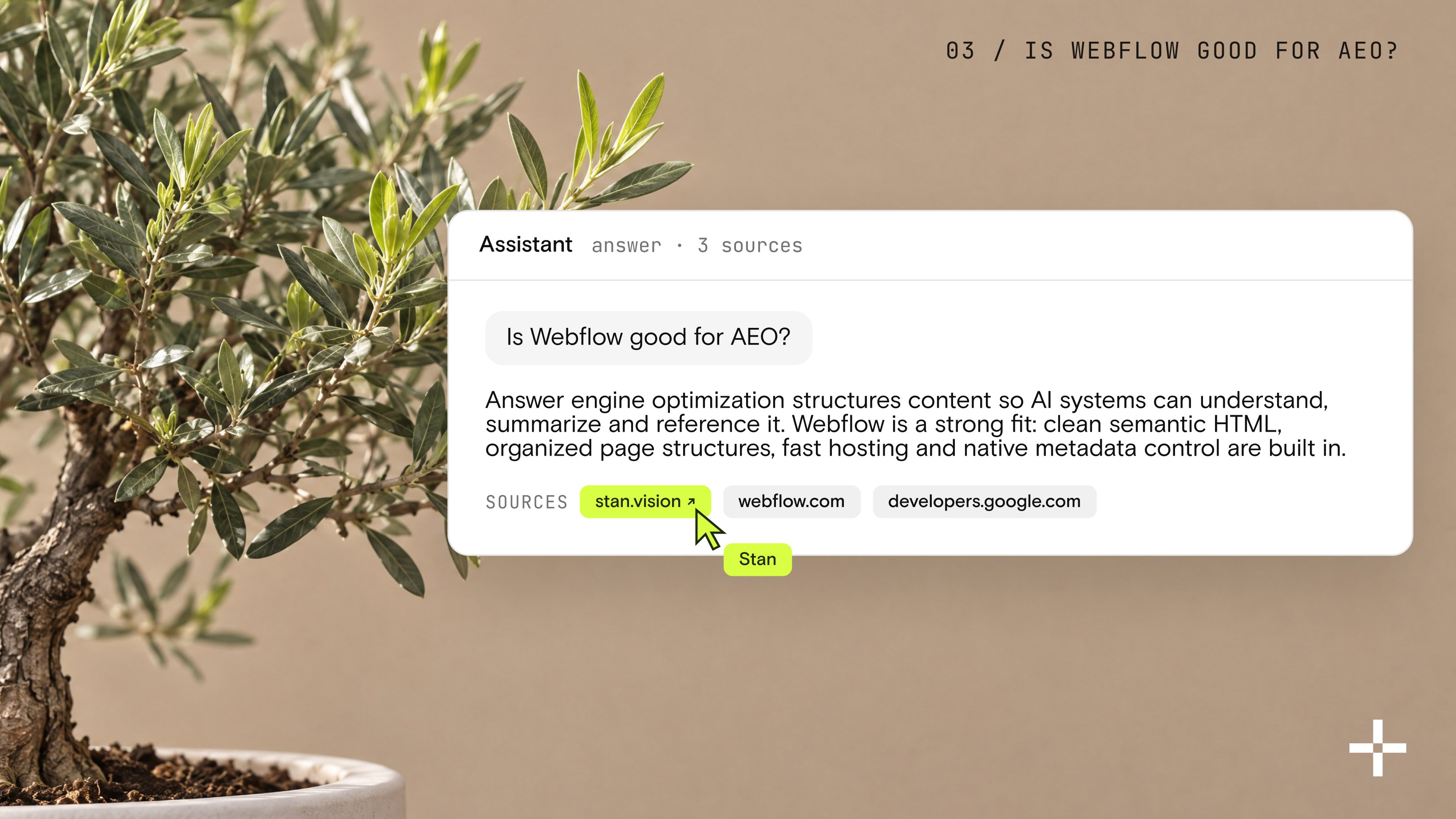 New olive leaves beside an AI answer explaining answer engine optimization and why Webflow is a strong fit, citing stan.vision.