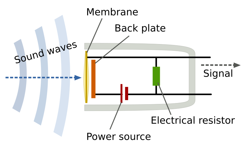 condenser mic diagram