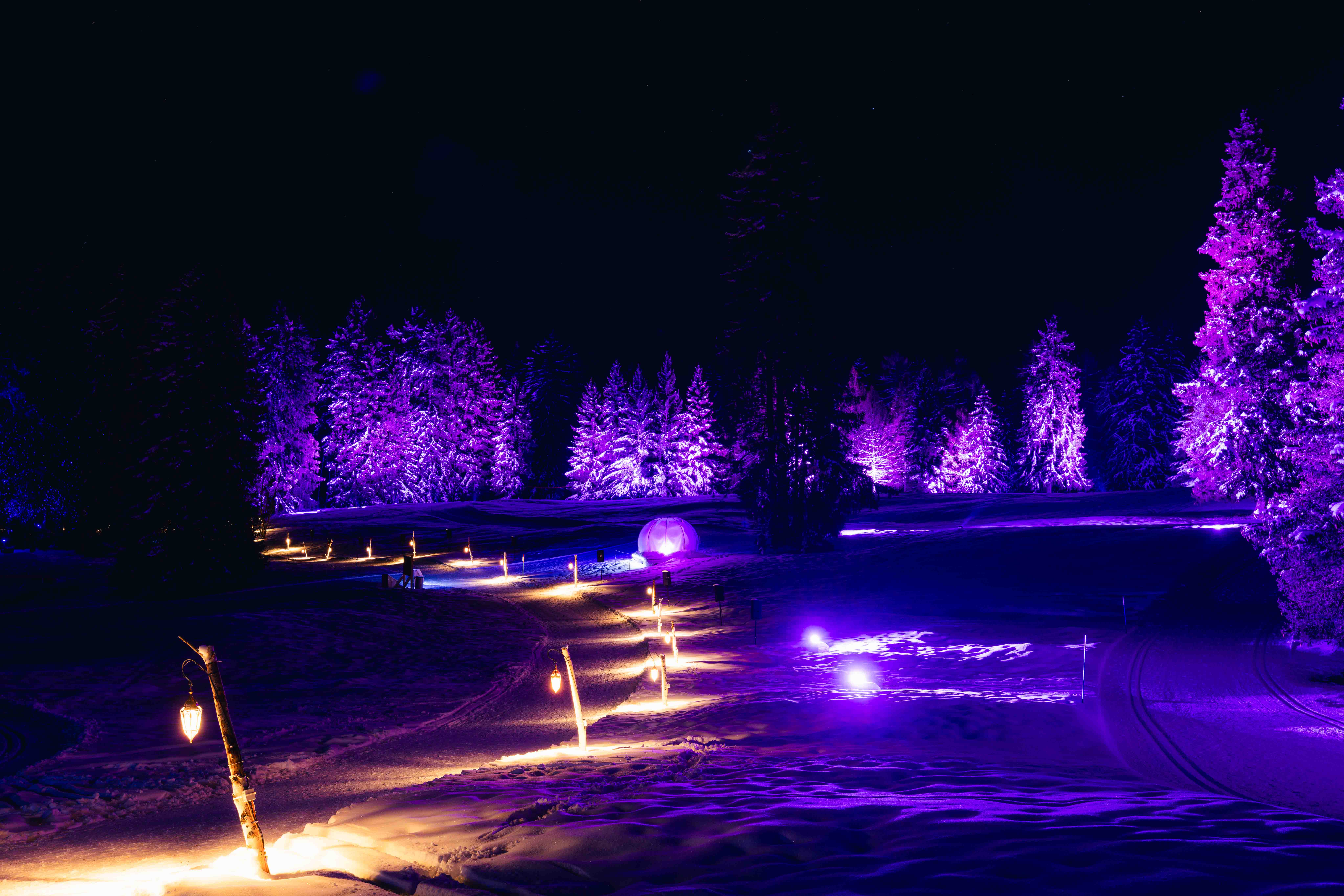 Photographie de la nature la nuit