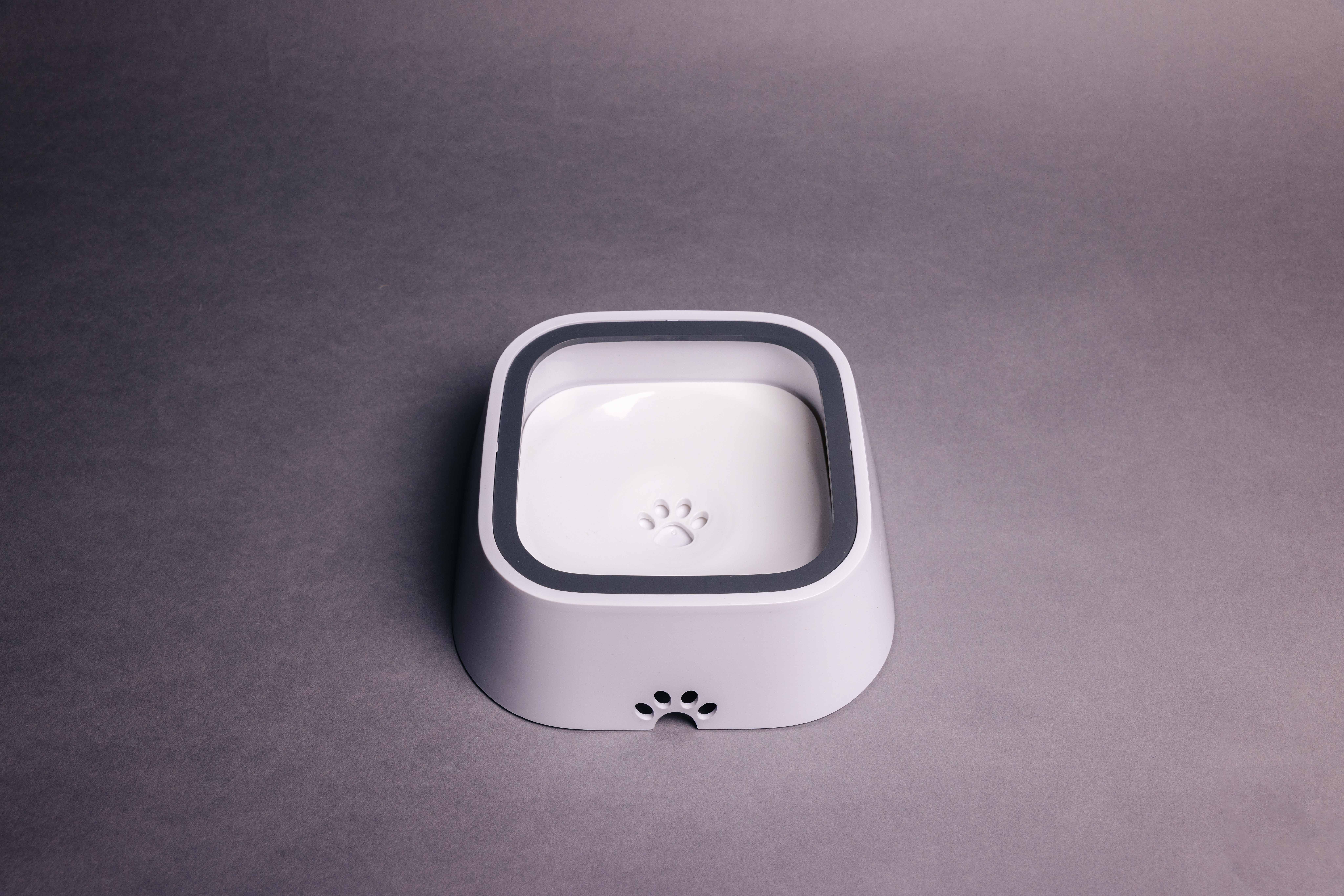 Assiette pour chat