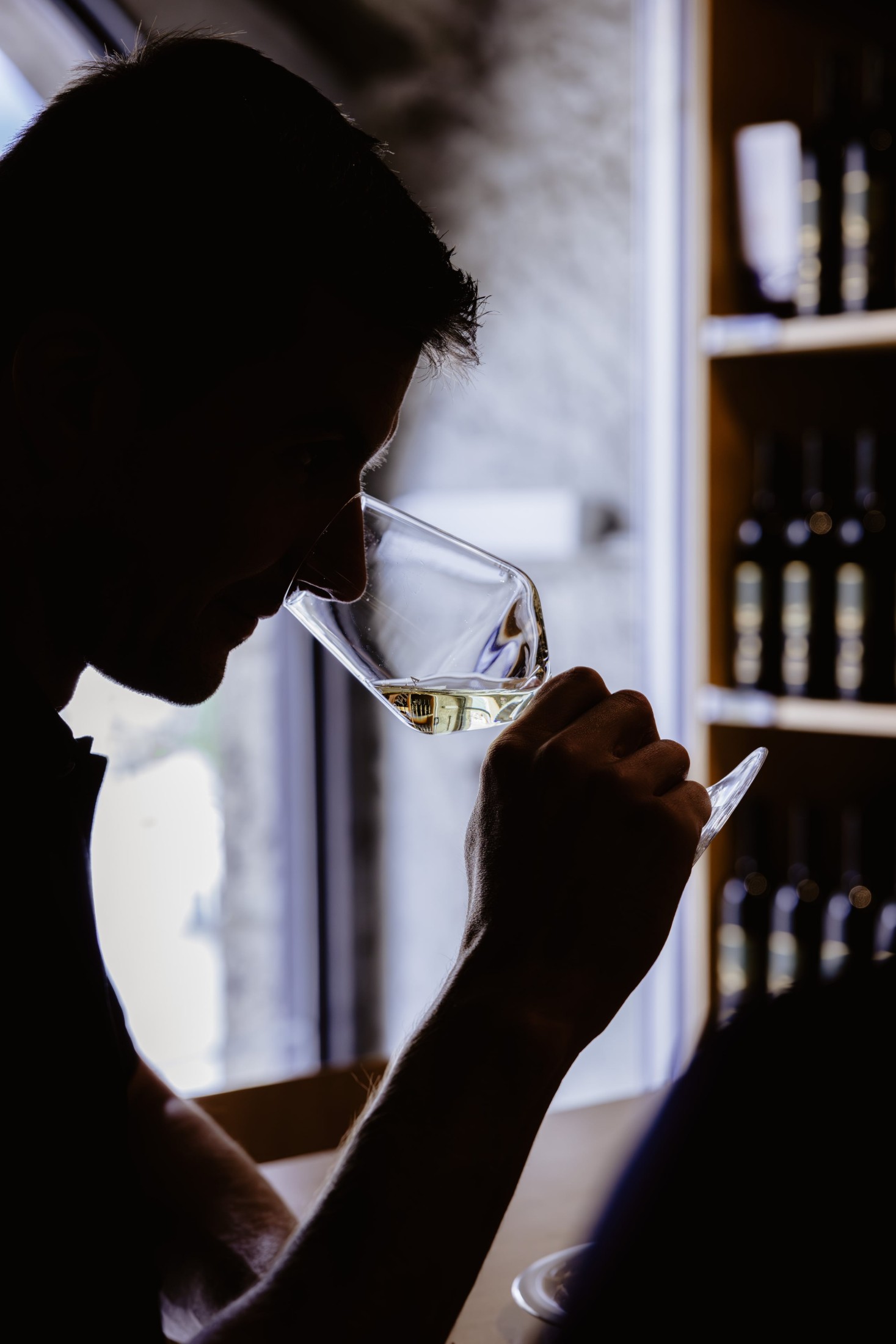 Silhouette d'une personne humant un verre de vin blanc