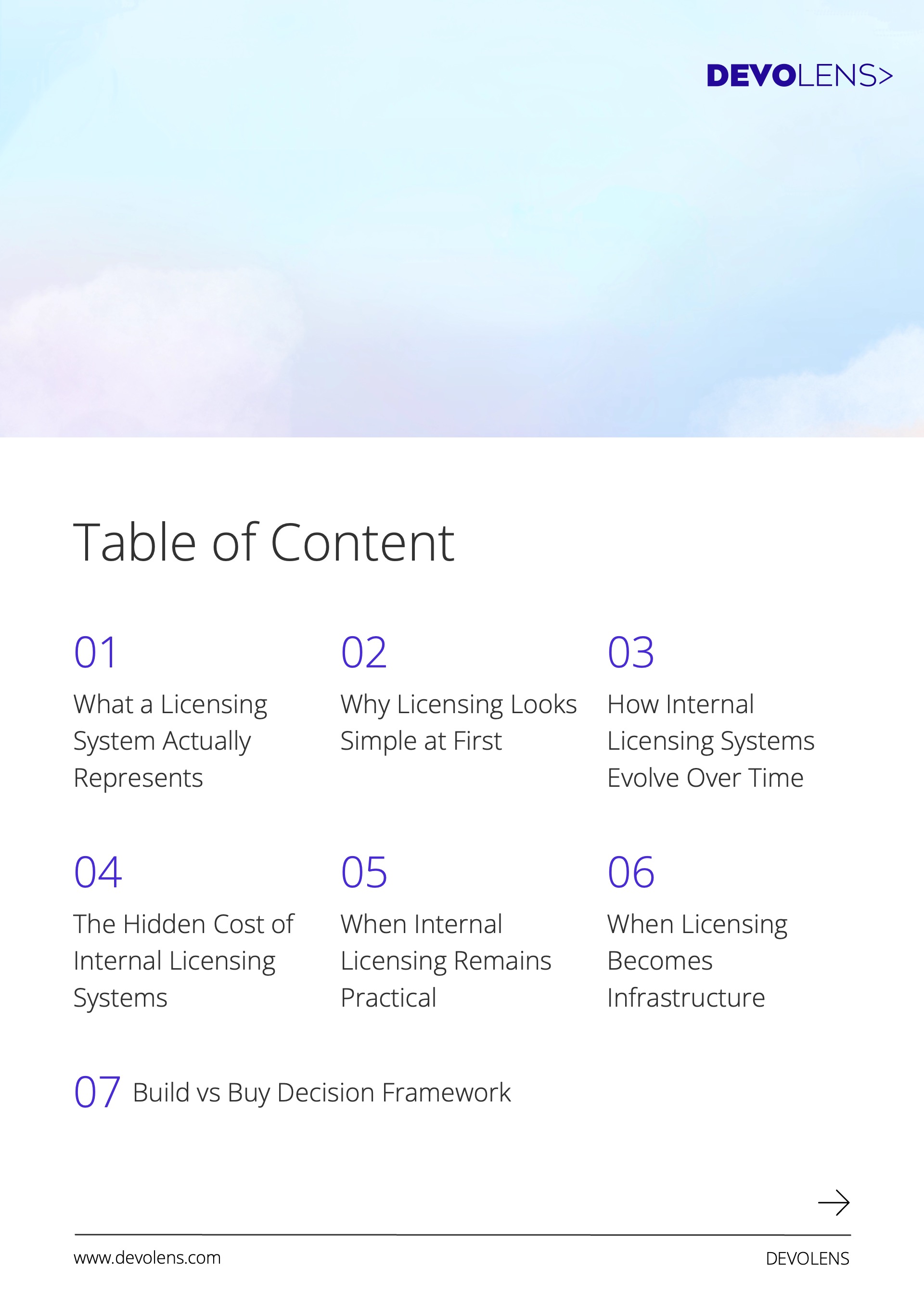 Table of contents showing seven chapters about software licensing build vs buy