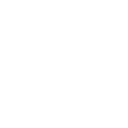 White X symbol on a transparent background.