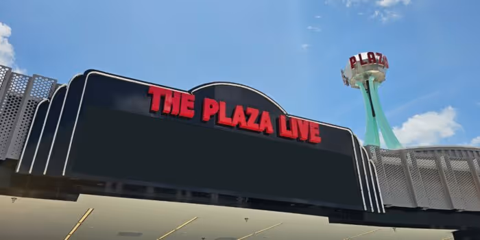 Countess Luann de Lesseps - Lu Niverse