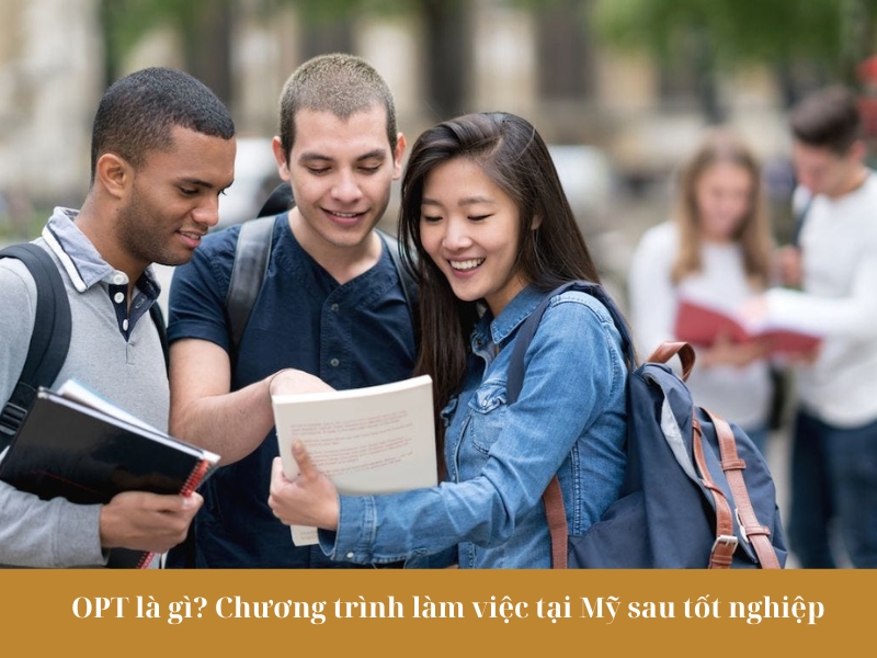 OPT là gì? Chương trình làm việc tại Mỹ sau tốt nghiệp