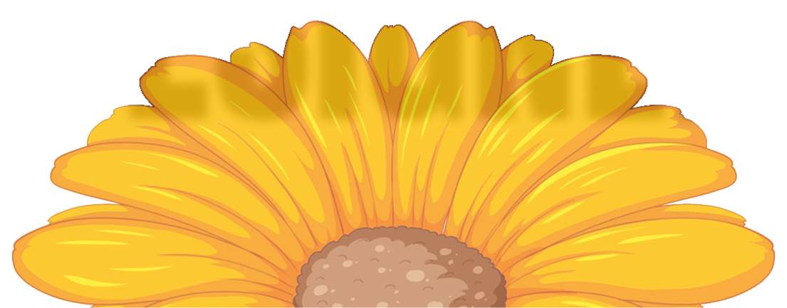Photo de tournesol
