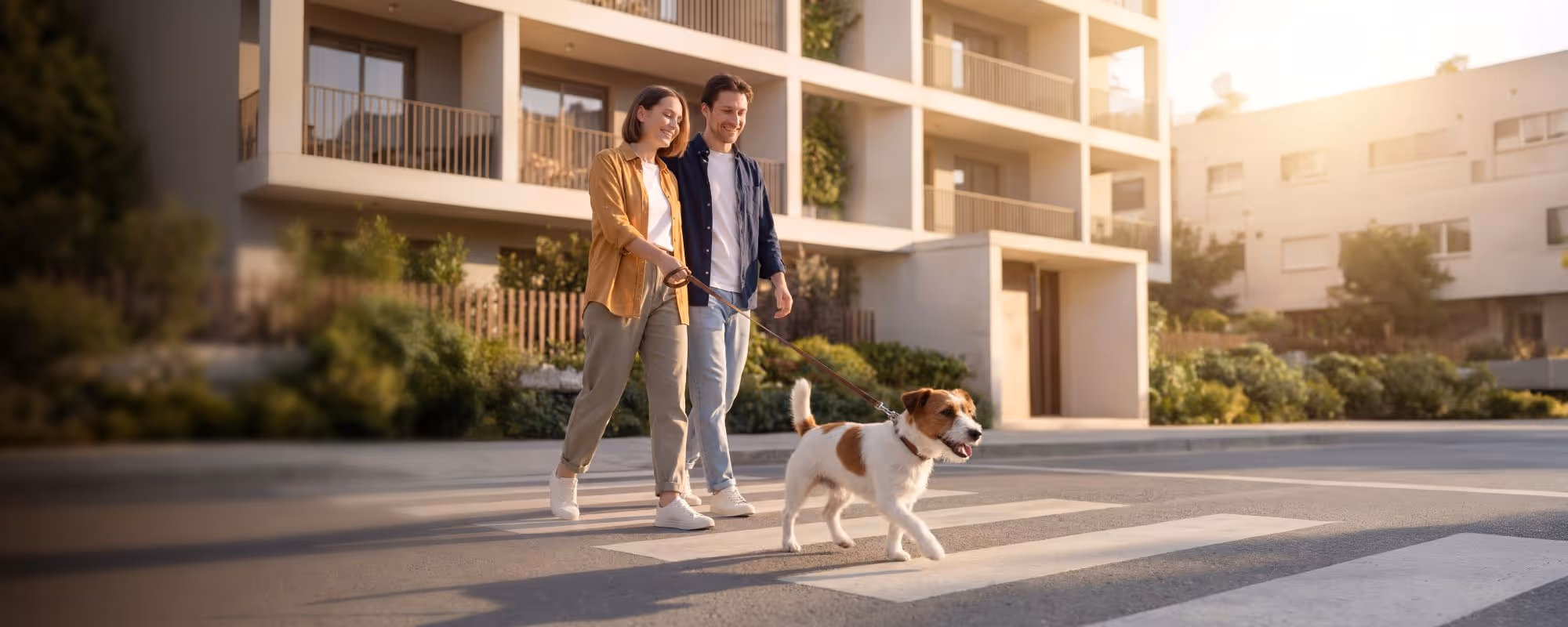 Couple walking a dog on a crosswalk near modern apartments in soft sunlight.