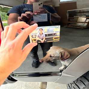 "Reflections in corrected paint showing clarity and depth after professional correction"