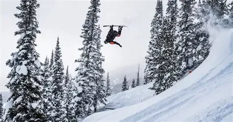 A skier airborne above a snowy slope among pine trees