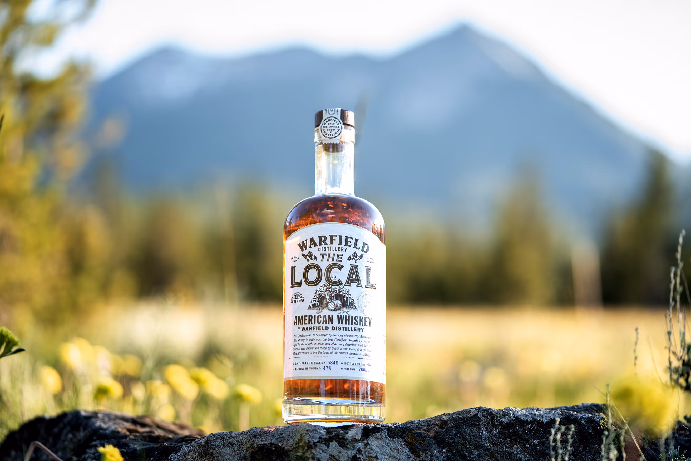 Whiskey sitting on rock in front of mountains