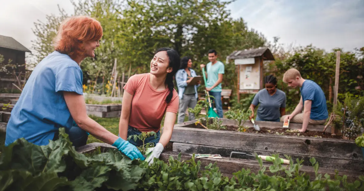 A group of people of different ages tending to raised garden beds outdoors on a sunny day. Two women in the foreground smile and talk while planting leafy greens. Several others work in the background among lush vegetation.